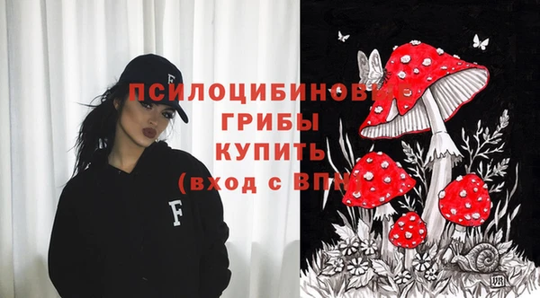 прущие крисы Алексеевка