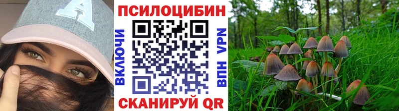 Псилоцибиновые грибы Magic Shrooms Льгов